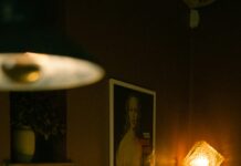 Peluş Tokalar Modaya Geri Döndü: Şıklığın Sırları Neler?