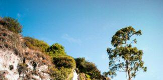 Çanta İçinde Taşınabilir Tokalar: Pratik Ve Şık Saç Aksesuarları!