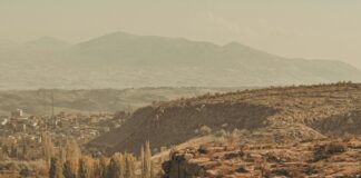 Kalın Saçlar İçin Toka Seçimi: En İyi ve Şık Öneriler