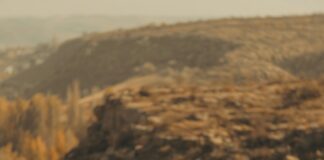 Bebekler İçin Güvenli Tokalar: En İyi Seçenekler ve İpuçları