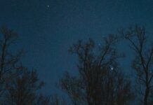 Gece İçin Toka Önerileri: Şıklığınızı Arttıracak Fikirler