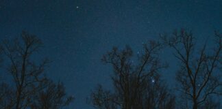 Gece İçin Toka Önerileri: Şıklığınızı Arttıracak Fikirler