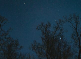 Gece İçin Toka Önerileri: Şıklığınızı Arttıracak Fikirler