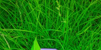 Metal Tokalar Paslanır Mı? Gerçekleri ve Koruma Yöntemleri