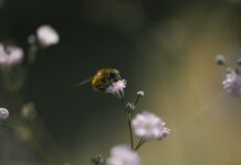 Pastel Tonlarda Saç Aksesuarları İle Şıklığı Keşfedin!