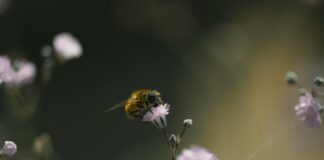 Pastel Tonlarda Saç Aksesuarları İle Şıklığı Keşfedin!