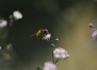 Pastel Tonlarda Saç Aksesuarları İle Şıklığı Keşfedin!