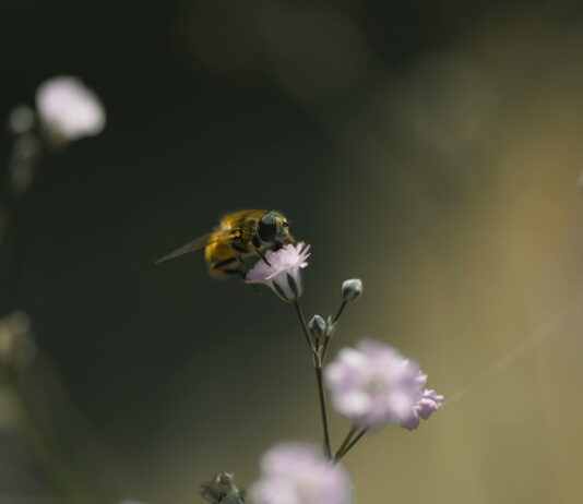 Pastel Tonlarda Saç Aksesuarları İle Şıklığı Keşfedin!