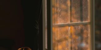 Günlük Kullanım İçin Saç Tokası: En Şık ve Rahat Seçenekler