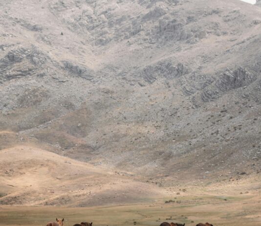 Doğal Taşlı Tokaların Anlamı Nedir? Sırları ve Faydalarıyla