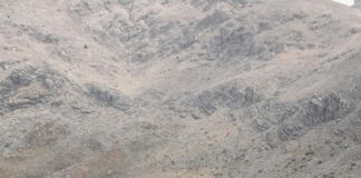 Doğal Görünümlü Tokalar İle Şıklığınızı Kolayca Yaratın