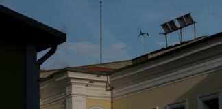 Erkek Çocuklar İçin Saç Bandı Var Mı? Şaşırtıcı Gerçekler!