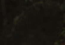 İş Hayatında Zarif Tokalar İle Şıklığınızı Nasıl Yansıtırsınız?