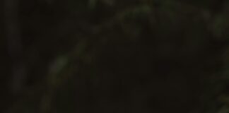 İş Hayatında Zarif Tokalar İle Şıklığınızı Nasıl Yansıtırsınız?