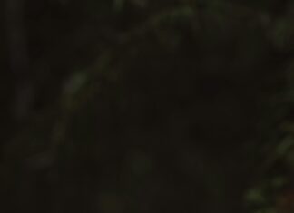 İş Hayatında Zarif Tokalar İle Şıklığınızı Nasıl Yansıtırsınız?