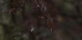 Saç Aksesuarı Alışverişinde Dikkat Edilmesi Gerekenler: Bilmeniz Gerekenler