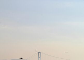 Bebek Saç Bandı Seçim Rehberi: En İyi Modeller ve İpuçları