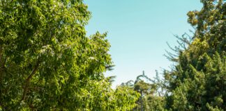 Doğal Malzemeli Tokalar İle Şıklığınızı Nasıl Yaratırsınız?