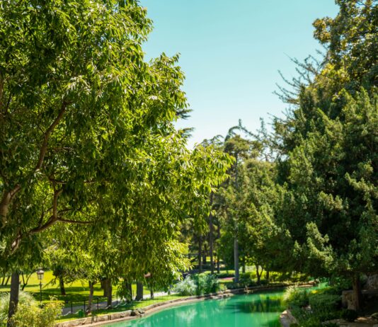 Doğal Malzemeli Tokalar İle Şıklığınızı Nasıl Yaratırsınız?