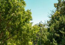 Doğal Görünümlü Toka Modelleri İle Şıklığı Yakalamanın Yolları