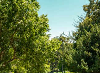 Doğal Görünümlü Toka Modelleri İle Şıklığı Yakalamanın Yolları