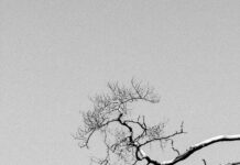 Minimal Saç Bandı Modelleri: Şıklığı ve Rahatlığı Keşfedin!