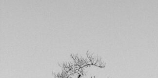 Minimal Saç Bandı Modelleri: Şıklığı ve Rahatlığı Keşfedin!