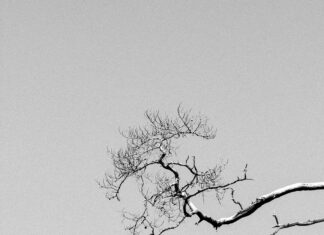 Minimal Saç Bandı Modelleri: Şıklığı ve Rahatlığı Keşfedin!