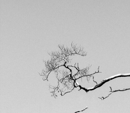 Minimal Saç Bandı Modelleri: Şıklığı ve Rahatlığı Keşfedin!