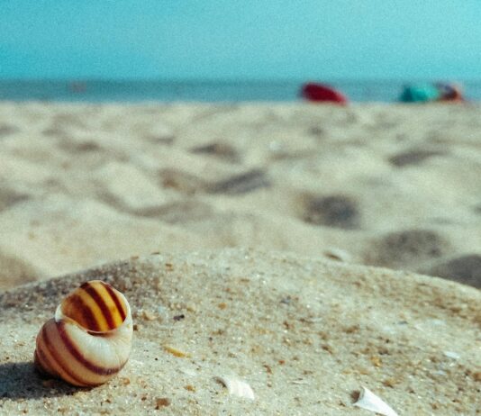 Lastikli Tokalar Mı Kancalılar Mı? En İyi Seçimi Keşfedin!