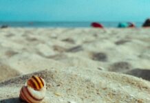 Düğünde Toka Mı Taç Mı? En İyi Seçimi Yapmanın Sırları