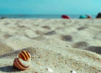 Düğünde Toka Mı Taç Mı? En İyi Seçimi Yapmanın Sırları