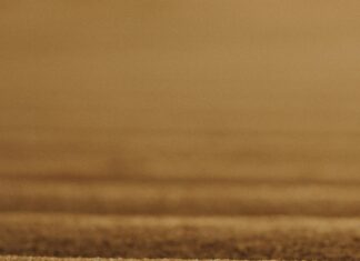 Saç Tokalarının Ömrü Ne Kadar? Uzun Süre Dayanmanın Sırları