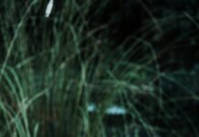 Taşlı Toka Kombinleri İle Şıklığınızı Zirveye Taşıyın!