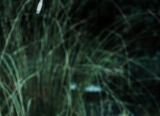 Taşlı Toka Kombinleri İle Şıklığınızı Zirveye Taşıyın!