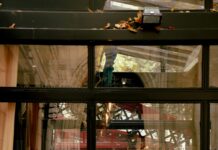 Saç Tokaları İle Kişisel Stil Yaratma: Şıklığın Sırları Açıklanıyor