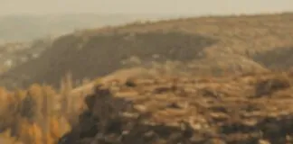 Toka Trendleri: En Şık ve Popüler Saç Aksesuarları Keşfi