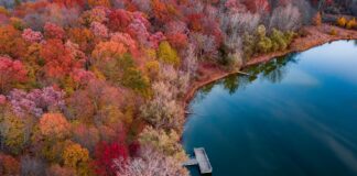 Taşlı Tokalar Ağır Mı Olur? Şaşırtıcı Gerçekler ve İpuçları