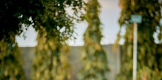 Saç Aksesuarlarıyla Selfie Fikirleri: Harika Pozlar İçin İpuçları