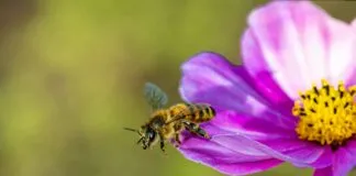 Tokalarla Saç Şekillendirme: En Etkileyici ve Pratik İpuçları