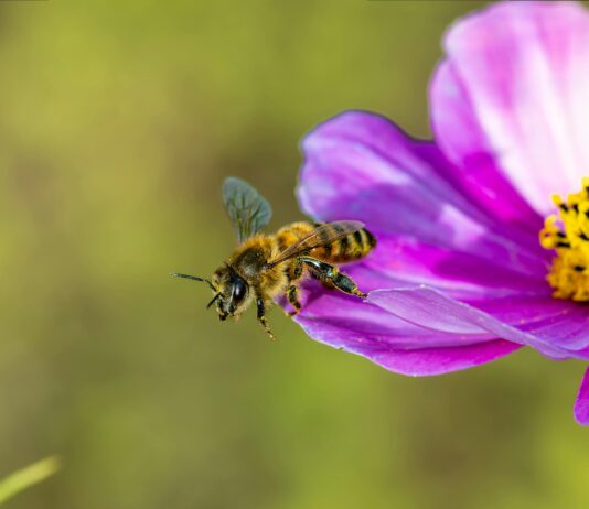 Saç Aksesuarı İle Fark Yaratmanın En Etkili Yolları!