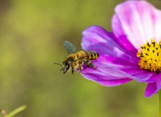 Saç Bandı İle Meditasyon Rahatlığı: Sizi Şaşırtacak Etkiler!