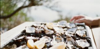Saç Tokasında Kullanılan Taş Türleri: En Güzel ve Şaşırtıcı Seçenekler