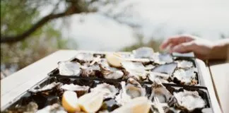 Saç Tokasında Kullanılan Taş Türleri: En Güzel ve Şaşırtıcı Seçenekler