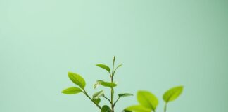 Moda Dünyasında Sürdürülebilirlik: Yeşil Çevreye Dair Bir Yaklaşım Sustainability in the Fashion World: A Green Approach to the Environment