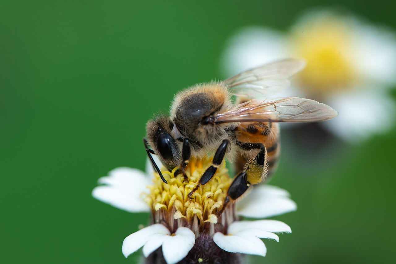 Kadın Saç Bantları ile Ofis Şıklığı
