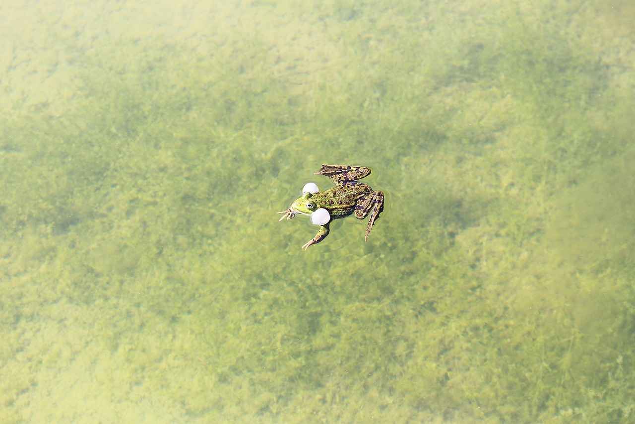 Saç Bandı ile Farklı Stil Denemeleri