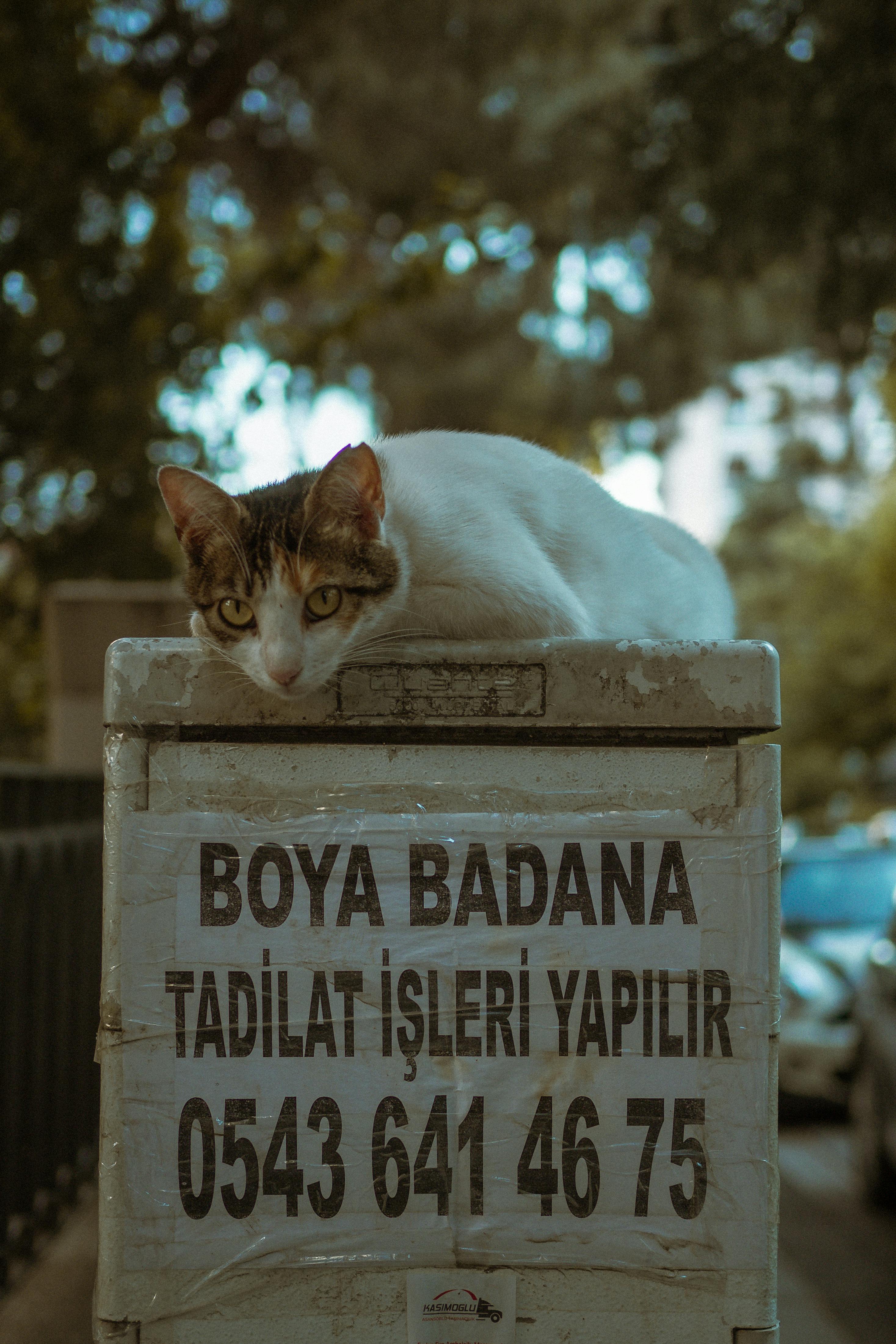 Deri Tokaların Bakımı Nasıl Yapılır? Etkili Yöntemler ve İpuçları
