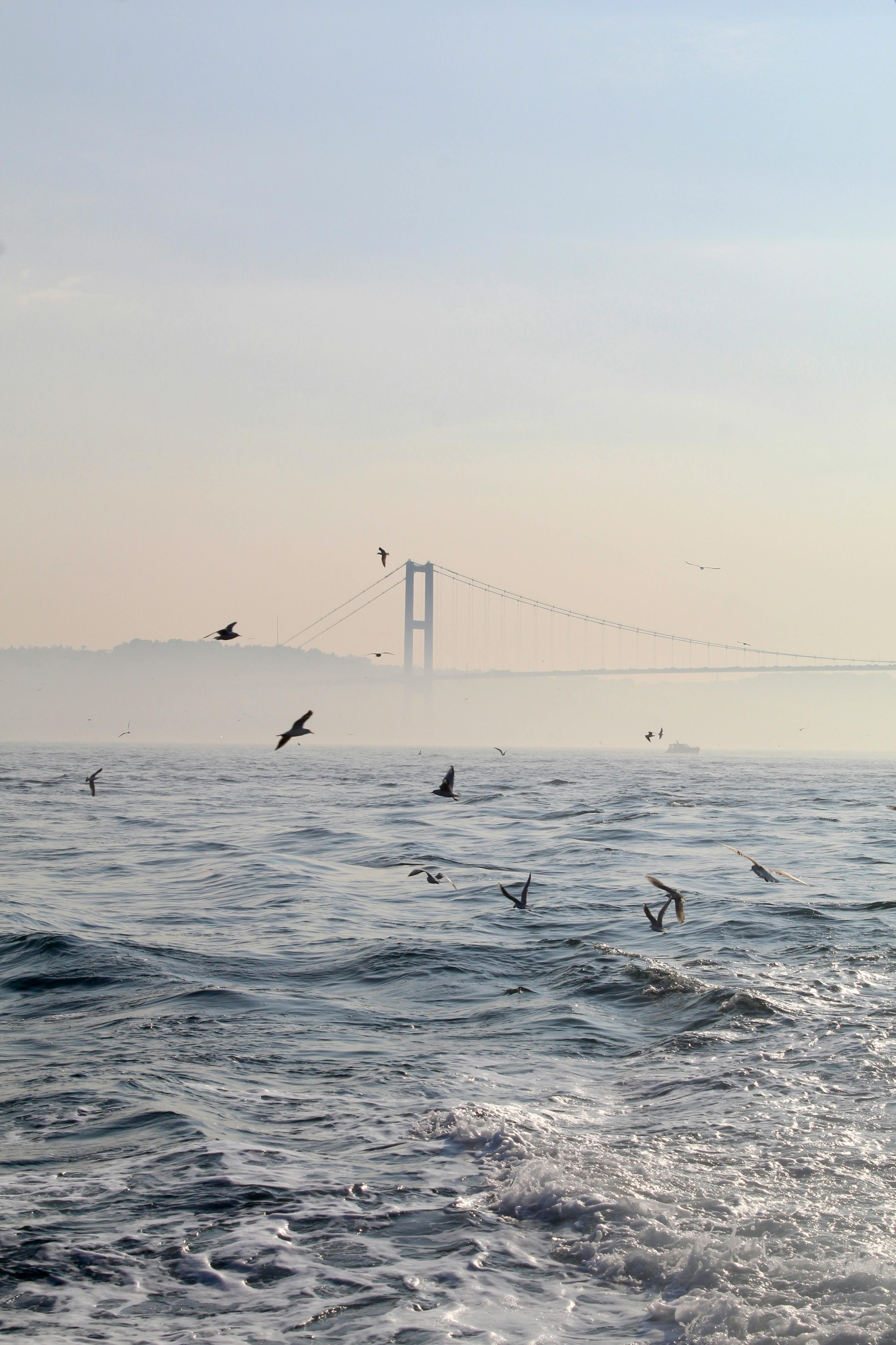 Bebek Saç Bandı Seçim Rehberi: En İyi Modeller ve İpuçları
